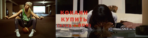 сатива Михайловск