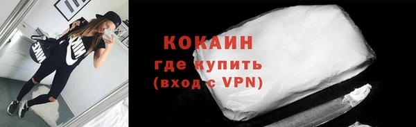твердый Михайлов