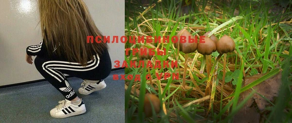 мдпв Михайловка