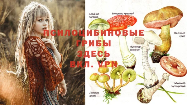 мдпв Михайловка