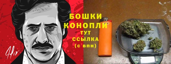 твердый Михайлов