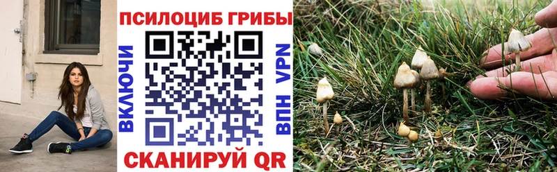 Псилоцибиновые грибы прущие грибы  Новосиль 
