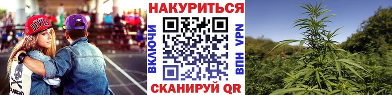 хочу наркоту  Новосиль  Шишки марихуана White Widow 